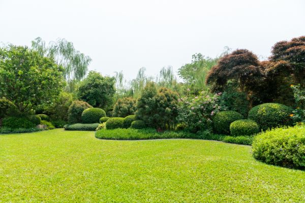 Landscape Repair Service