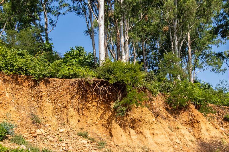 Soil and Terrain Conditions
